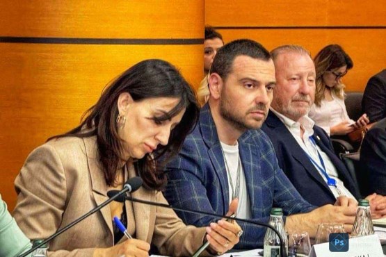 Head of the Delegation of the Parliamentary Assembly of Bosnia and Herzegovina in the Parliamentary Assembly of the Council of Europe, Saša Magazinović, participated in the thematic session of the Committee on Equality and Non-Discrimination of the Parliamentary Assembly of the Council of Europe